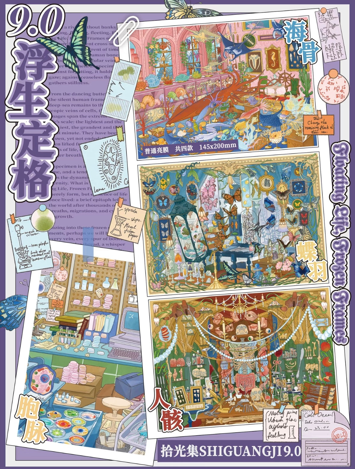 Vol. 9 Frozen Moments of Life Bloodline Sea Bones Butterfly Feathers Human Remains - M