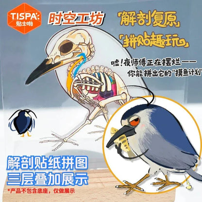 DIY mininature Scene Sticker TISPA Anatomy Restoration Vol. 2 Fantasy Creatures Red Dragon Chinese Dragon Yinglong Cthulhu - M 6