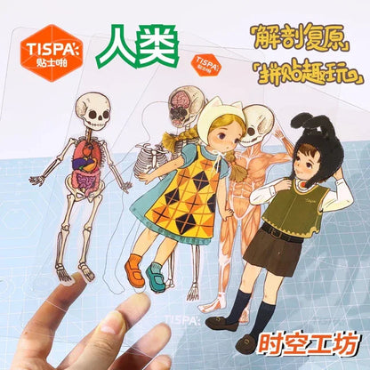 Anatomy Restoration Vol. 4 Animal Encyclopedia Human Panda - M