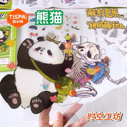 Anatomy Restoration Vol. 4 Animal Encyclopedia Human Panda - M