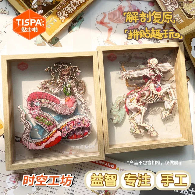 DIY mininature Scene Sticker TISPA Anatomy Restoration Vol. 5 Fantasy Creatures Medusa Centaur - M 1