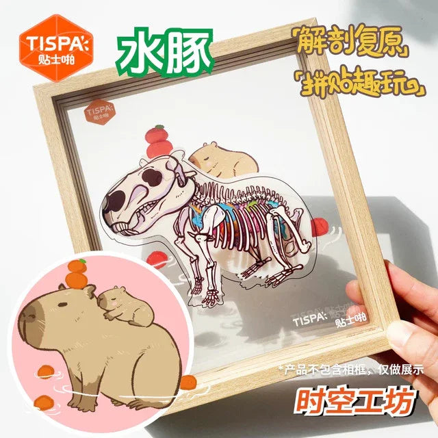 Anatomy Restoration Vol. 6 Animal Encyclopedia Capybara Seal Lop Rabbit Corgi - M