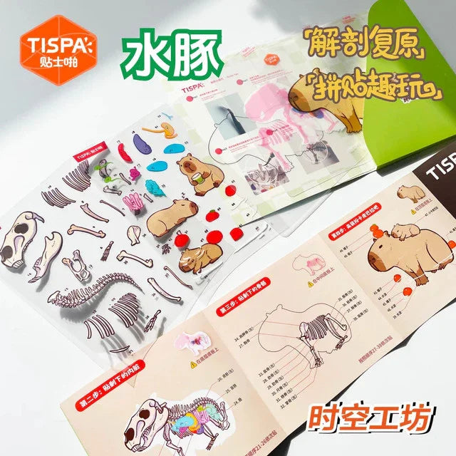 DIY mininature Scene Sticker TISPA Anatomy Restoration Vol. 6 Animal Encyclopedia Capybara Seal Lop Rabbit Corgi - M 3