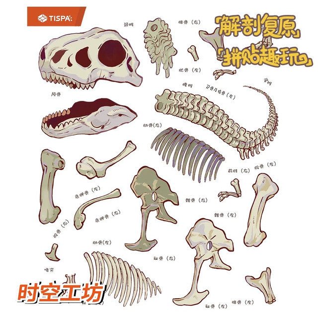 Anatomy Restoration Vol. 1 Prehistoric Creatures Tyrannosaurus Rex - M - JoyJollyCrafts