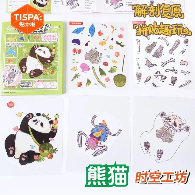 Anatomy Restoration Vol. 4 Animal Encyclopedia Human Panda - M - JoyJollyCrafts