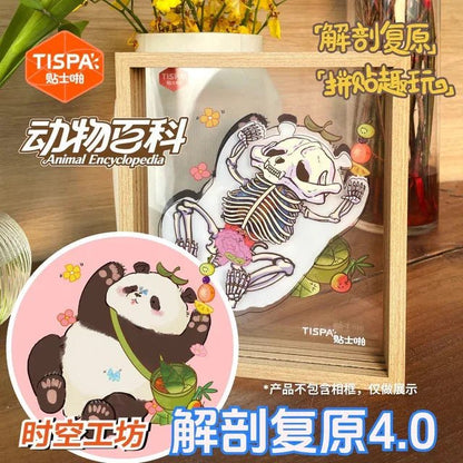 Anatomy Restoration Vol. 4 Animal Encyclopedia Human Panda - M - JoyJollyCrafts
