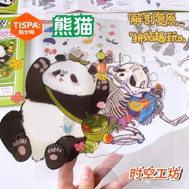 Anatomy Restoration Vol. 4 Animal Encyclopedia Human Panda - M - JoyJollyCrafts