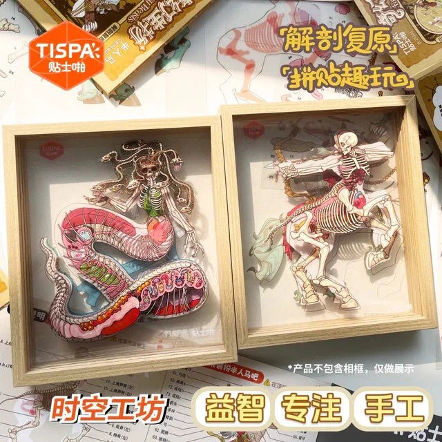 Anatomy Restoration Vol. 5 Fantasy Creatures Medusa Centaur - M - JoyJollyCrafts